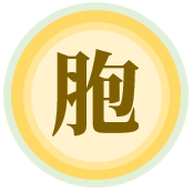 居住證&台胞證